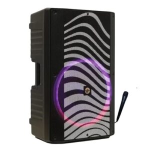 Parlante STROMBERG Intense Pro